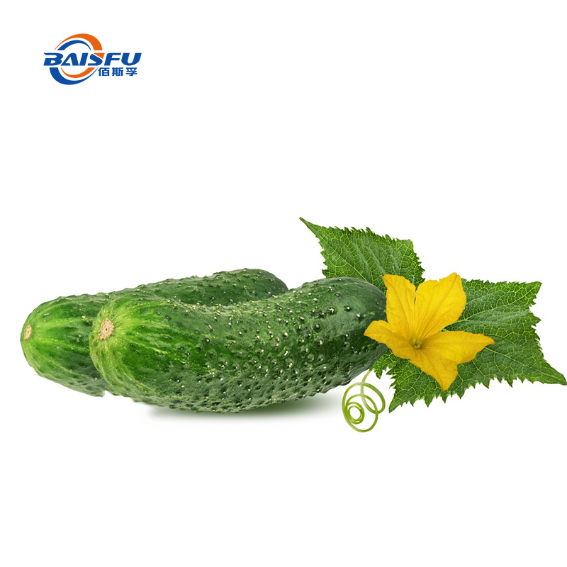 1724124973404226.jpg 22-黄瓜-CUCUMBER-02.jpg