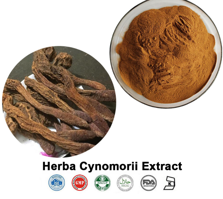 Shaan'xi baisfu OEM serivce OEM servic  Baisfu Cynomorii Extract Powder