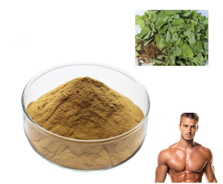 baisfu hot sell Epimedium Extract