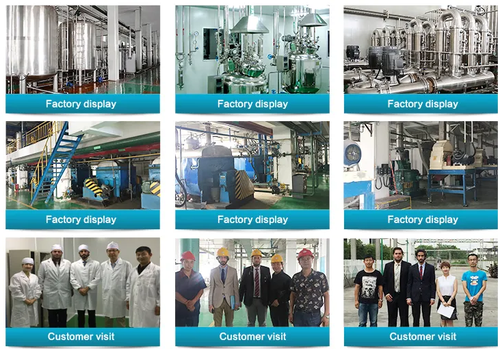 1721203144629625.png Factory.png
