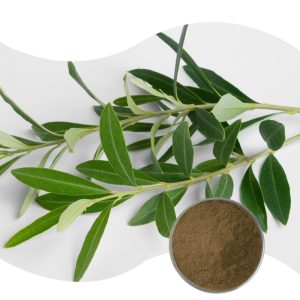 Olive Leaf P.E
