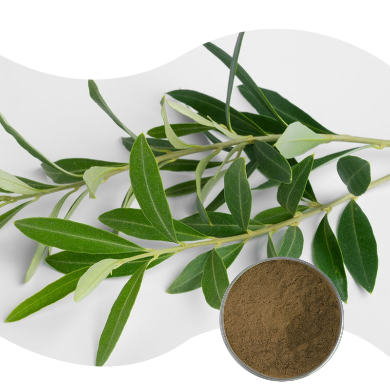 Olive Leaf P.E