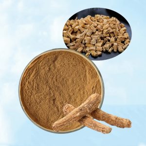Dangshen Extract