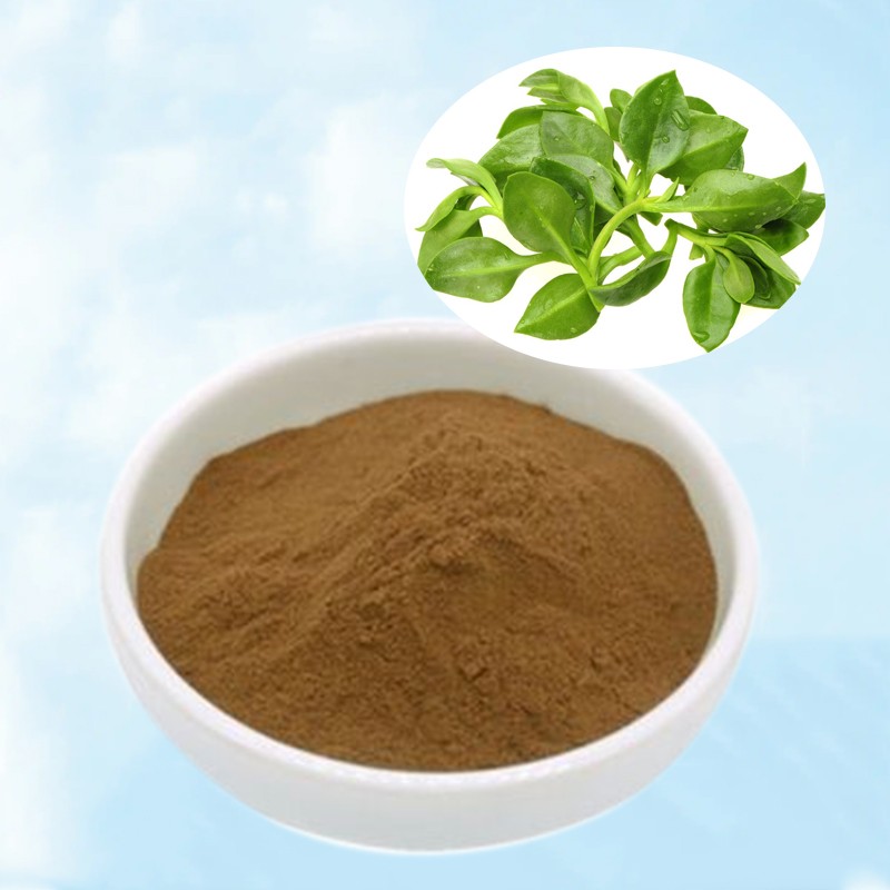 Andrographis Paniculata Extract