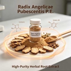 Radix Angelicae Pubescentis P.E.  CAS: 57106-69-9