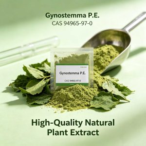 Gynostemma P.E.CAS: 94965-97-0