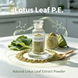 Lotus Leaf P.E.  CAS: 475-83-2