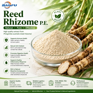 Reed Rhizome P.E.