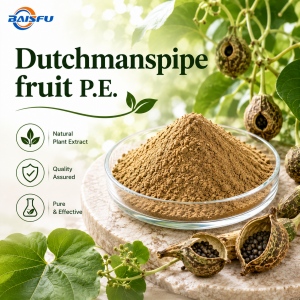 Dutchmanspipe fruit P.E.