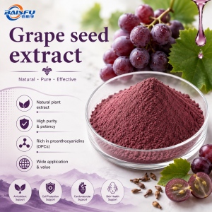 Grape seed extract CAS: 85594-37-2