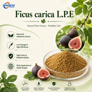Ficus carica L.P.E