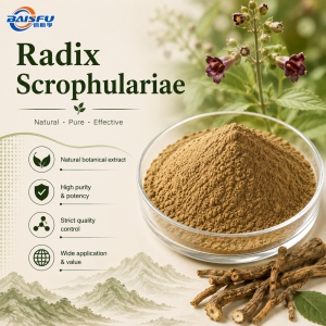 Radix Scrophulariae