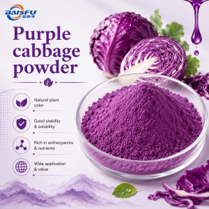 Purple cabbage powder CAS: 90045-23-1