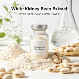 White Kidney Bean Extract CAS: 85085-22-9